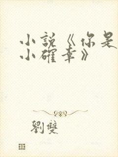 小说《你是我的小确幸》