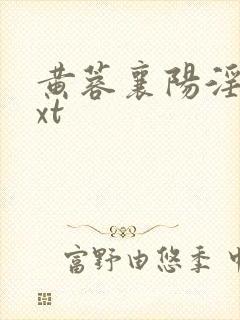 黄蓉襄阳淫史txt封面