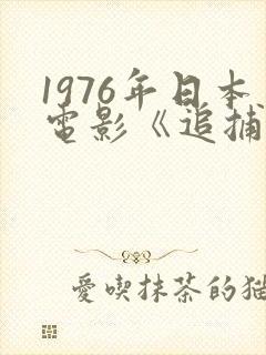1976年日本电影《追捕》