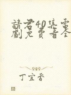 请君40集电视剧免费看全集封面