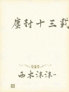 尘封十三载原著