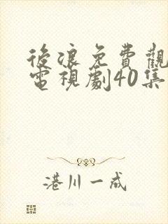 后浪免费观看的电视剧40集