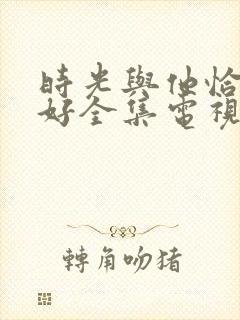 时光与他恰是正好全集电视剧免费观看封面