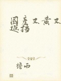 国产又黄又色无遮挡