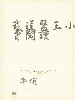 武道医王小说免费阅读