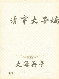 清穿太子娇妃