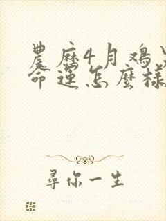 农历4月鸡男的命运怎么样