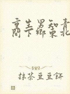 重生男知青带空间下乡东北作者:暮云年华著