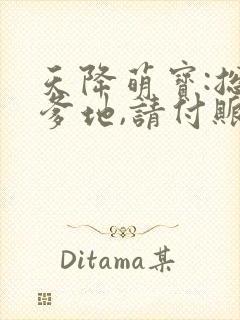 天降萌宝:总裁爹地,请付账小说封面