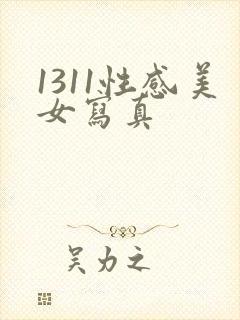 1311性感美女写真