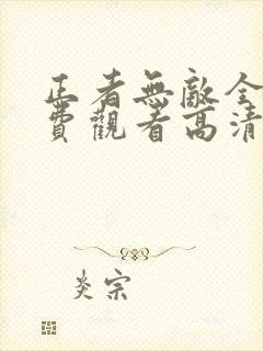 正者无敌全集免费观看高清