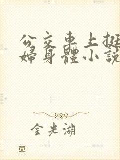 公交车上挺进少妇身体小说封面