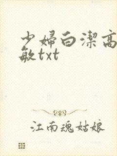 少妇白洁高义张敏txt