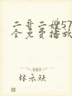 二哥二嫂57集全免费播放