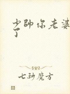 少帅你老婆又跑了