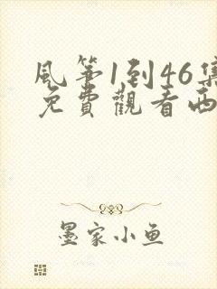 风筝1到46集免费观看西瓜影院