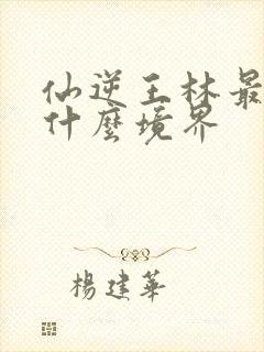 仙逆王林最后是什么境界