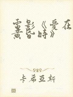 电影《爱在日落黄昏时》封面