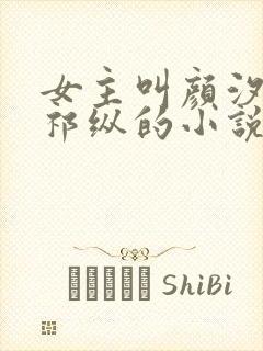 女主叫颜汐男主祁纵的小说