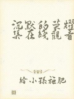 沉默的荣耀37集在线观看