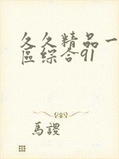 久久精品一区二区综合91封面