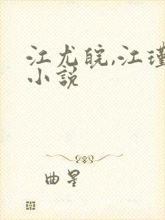 江尤皖,江瑾伊小说封面