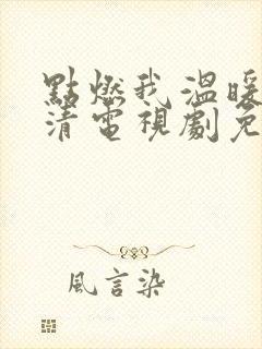 点燃我温暖你高清电视剧免费观看封面