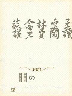 苏念林云柔的小说免费阅读封面