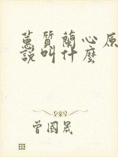 蕙质兰心原著小说叫什么