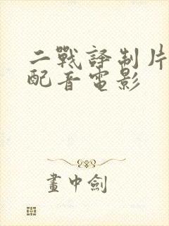 二战译制片国语配音电影封面