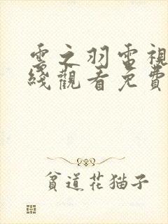 云之羽电视剧在线观看免费封面