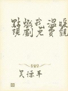 点燃我温暖你电视剧免费观看高清