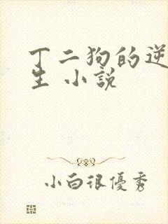 丁二狗的逆袭人生 小说