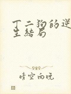 丁二狗的逆袭人生结局