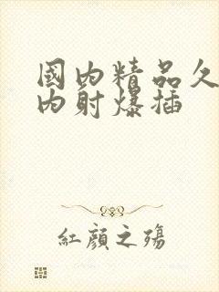 国内精品久久久内射爆插