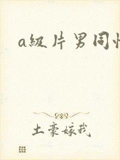 a级片男同性恋