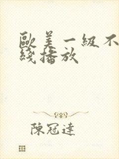 欧美一级不卡在线播放