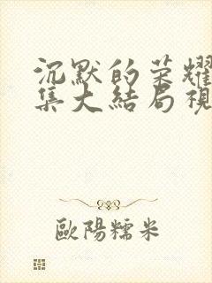 沉默的荣耀38集大结局视频封面