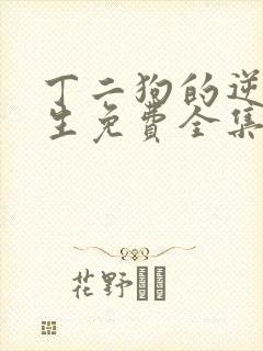 丁二狗的逆袭人生免费全集