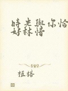 时光与你恰是正好林惜