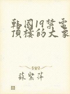 韩国19禁电影顶楼的大象