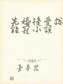 先婚后爱总裁太能宠小说