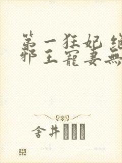 第一狂妃 绝色邪王宠妻无度