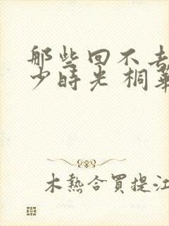 那些回不去的年少时光 桐华封面