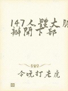 147人体大胆瓣开下部