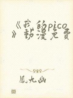 《我的pico》动漫免费观看完整版中