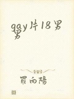 gay片18男男
