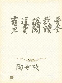 霸道总裁爱上我免费阅读全文封面