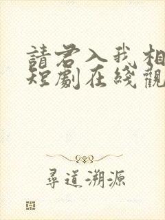 请君入我相思局短剧在线观看