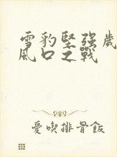 雪豹坚强岁月骑风口之战